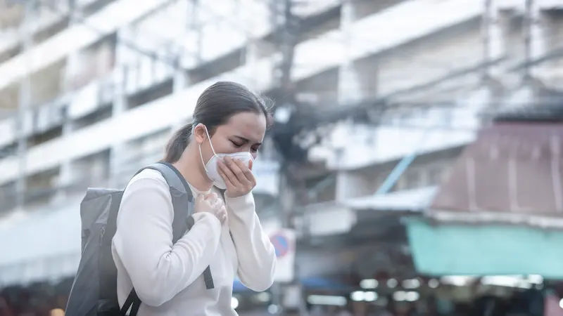 Guide to Effects Of Air Pollution On Lungs